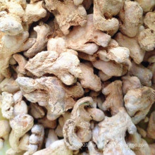 Top Quality Dry Ginger Supplier